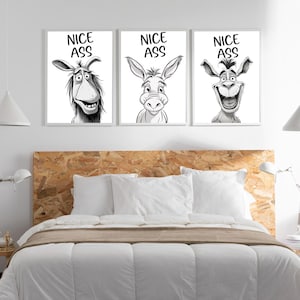 May include: Three black and white illustrations of a donkey with the text "NICE ASS" above each donkey.