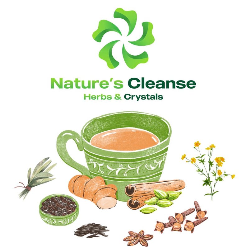 Shatavari Root Powder: Ayurvedic Female Tonic, Adaptogen Supplement afbeelding 2