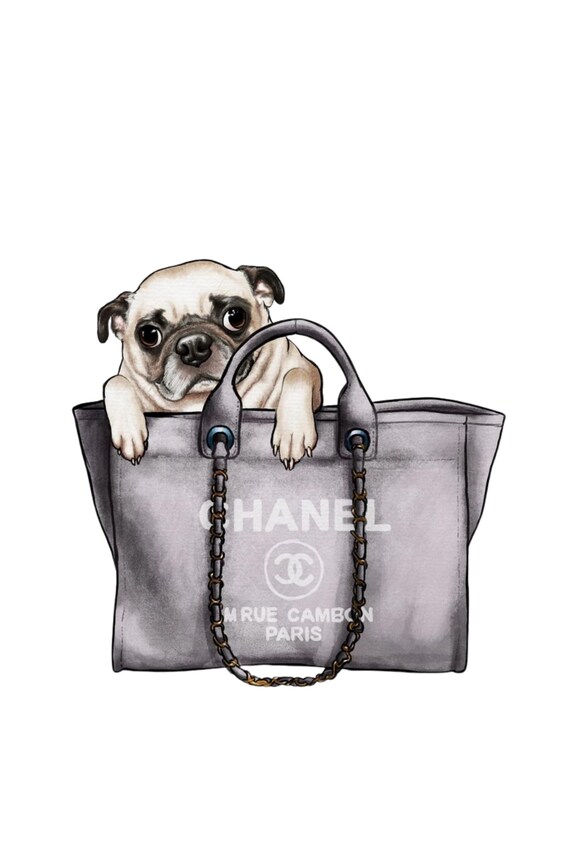 Chanel cute bag hotsell