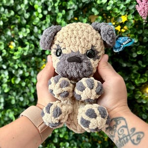 Könnte beinhalten: Ein kleines, handgefertigtes Häkel-Mops-Stofftier aus weichem, strukturiertem beigem und dunkelgrauem Garn. Das Kuscheltier hat große, runde schwarze Kunststoffaugen, eine dunkelgraue Schnauze, Schlappohren und vier Pfoten mit dunkelgrauen Pfotenballen.