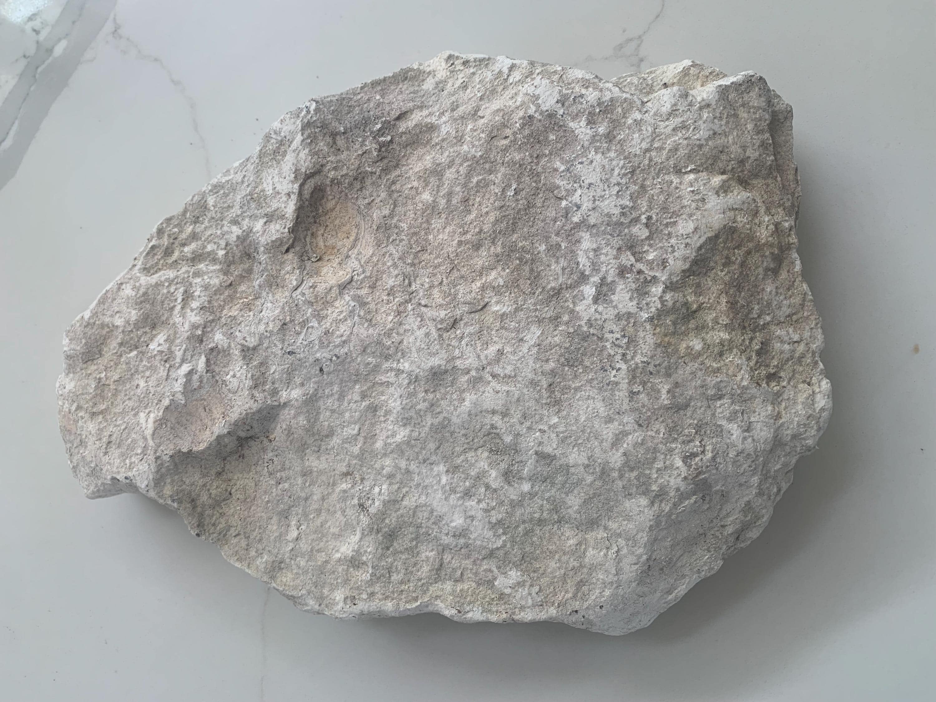 Limestone Slab Pieces, Rustic Stone Tablescape, Sculptural Home Accent ...