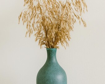 Dried Field Brome (30)