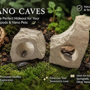 May include: Two off-white, textured stone structures with circular openings, labeled NANO CAVES. The text reads: NANO CAVES, The Perfect Hideout for Your Isopods & Nano Pets, Natural Shelter & Stress Relief, Promotes Healthy Exploration, Enhances Your Terrarium's Look, Ideal for Isopods, Springtails, and Other Nano Pets.