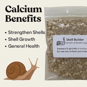 Limestone Calcium Carbonate