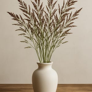 May include: A matte white ceramic vase with a rounded body and a narrow neck, containing a bouquet of tall, slender green stems topped with dark brown, feathery seed heads that fan out in a symmetrical arrangement against a neutral background.