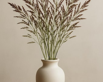 Dried Johnson Grass Stems: Natural Sorghum Halepense - Chemical Free