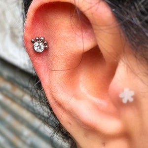 Paw Print Cartilage and Tragus Earrings | Silver Plated Surgical Steel Stud Piercing, Dog & Cat Lover Gift