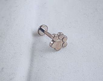 Paw Print Tragus Earring, Titanium Cartilage Piercing, Dog and Cat Lover Jewelry Gifts