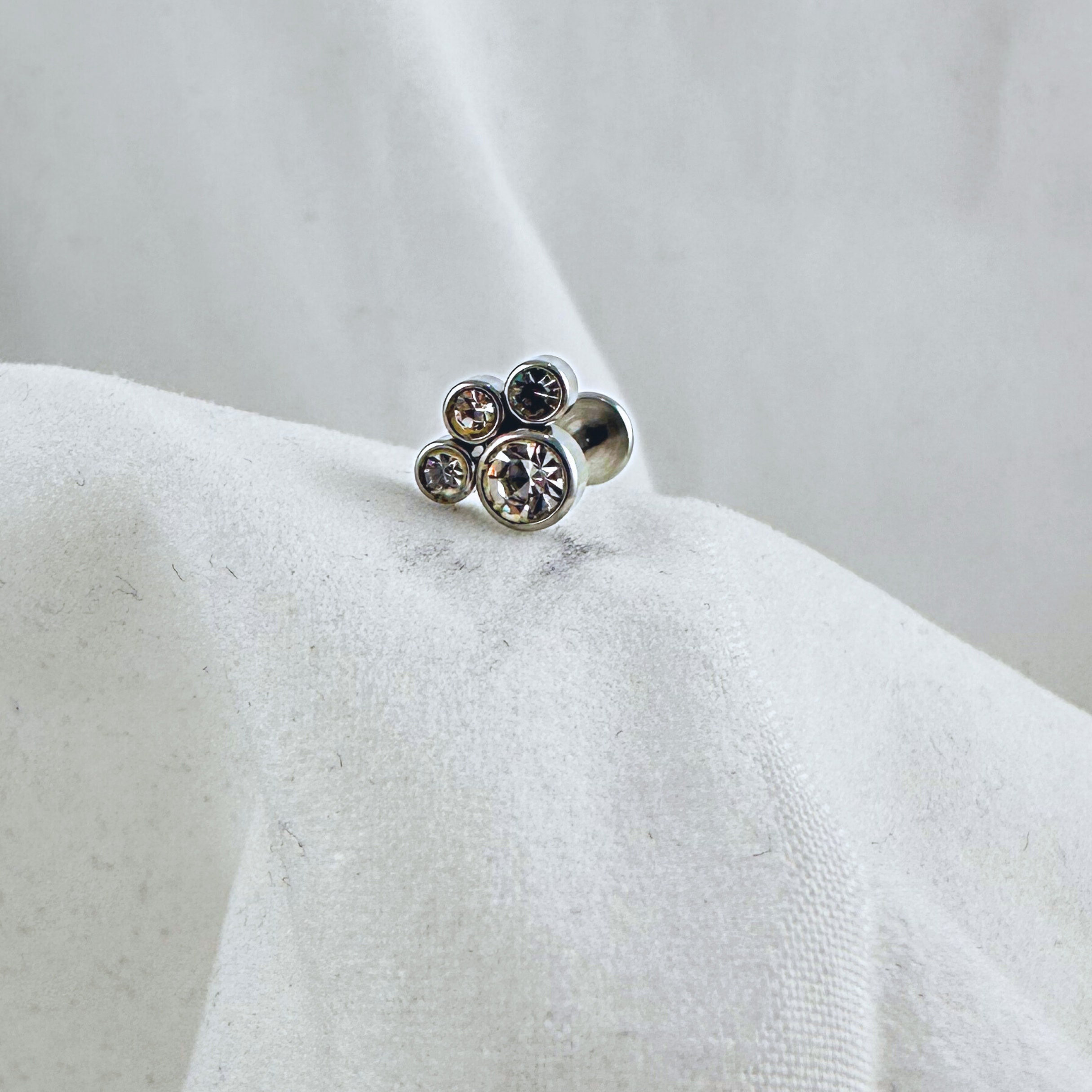 Clous D'oreilles Acier Chirurgical 316L - Empreinte De Patte - Inoki - Neuf Avec étiquettes
