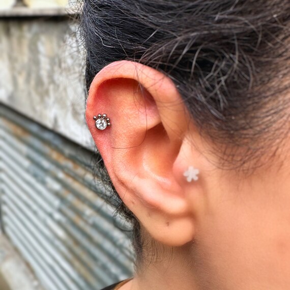 Paw print tragus earring discount