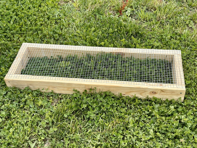 36 X 12 Chicken Run Grass Garden Bar Etsy