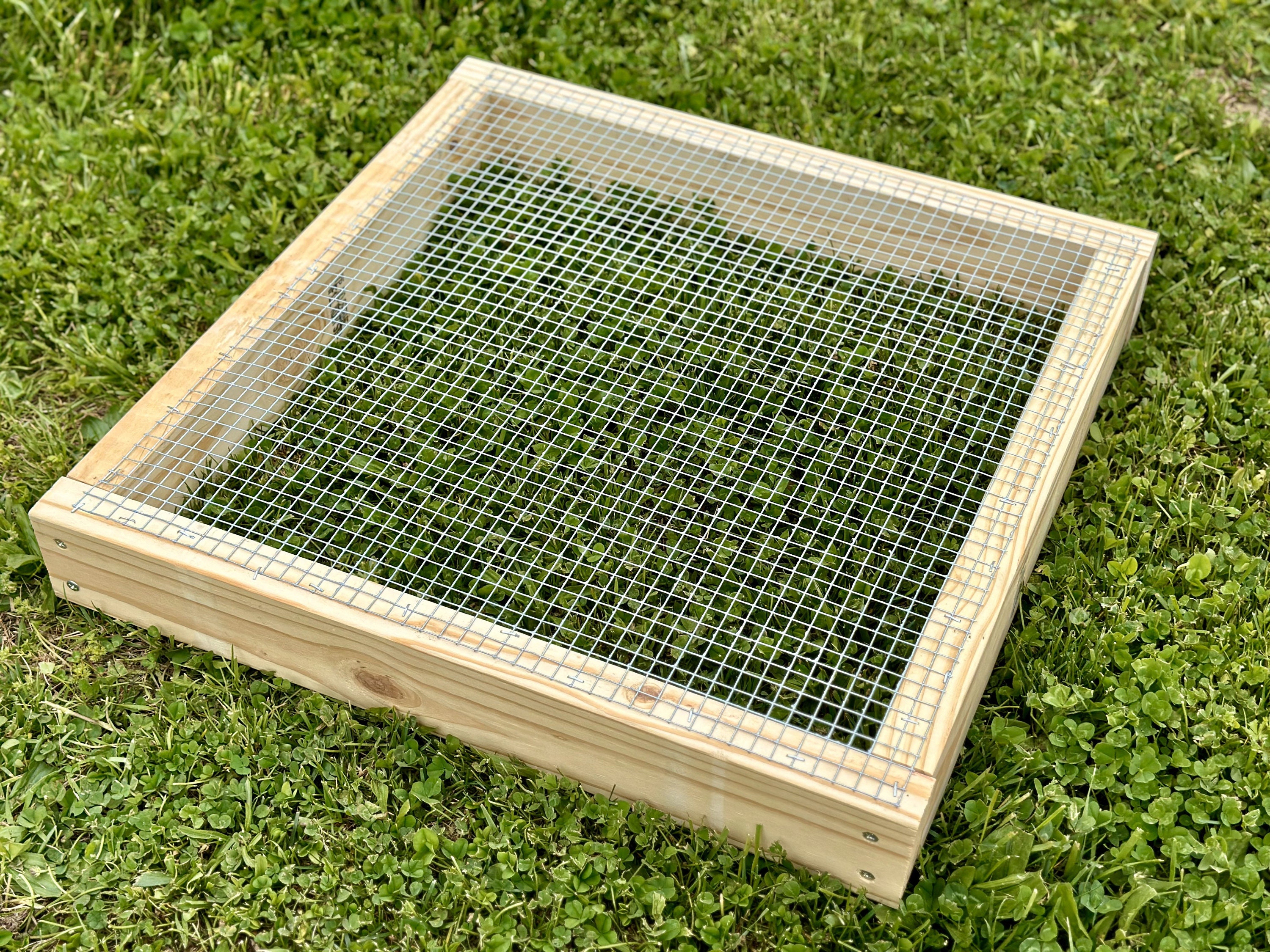 24 X 24 Chicken Run Grass Garden Bar includes Grass Seedmix Etsy