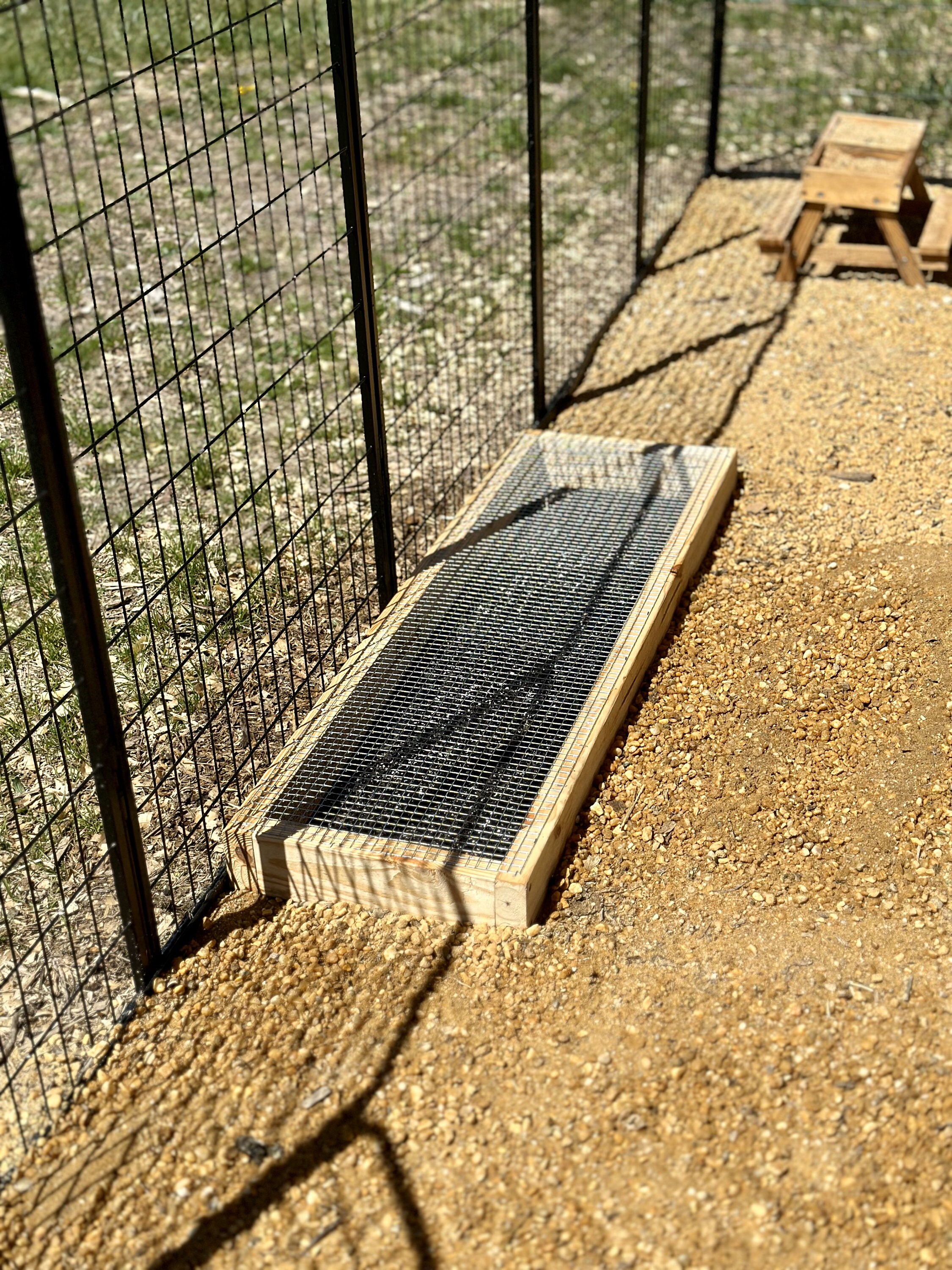 36 X 12 Chicken Run Grass Garden Bar includes Grass Seed Mix Etsy