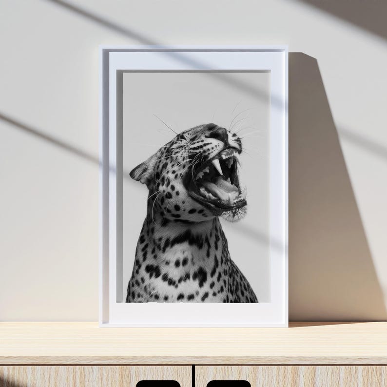 May include: Black and white photograph of a leopard with its mouth open, showing its teeth. The leopard is looking to the right of the frame. The photo is framed in a white frame.
