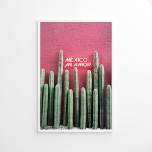 Kaktus in Mexiko, Kaktus Wandkunst, Pflanzen Fotografie, Vintage Druck, Fotografie Druck, Lifestyle Druck, Fotodruck in Museumsqualität