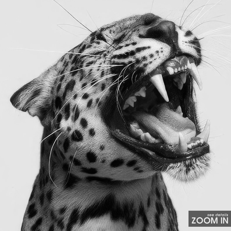 May include: A black and white photograph of a jaguar with its mouth open, showing its teeth. The jaguar is looking to the right of the frame. The background is white.