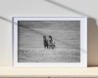 May include: A black and white photograph of two horses standing in a field. The horses are facing the camera and are standing close together. The field is covered in grass and there is a slight hill in the background.