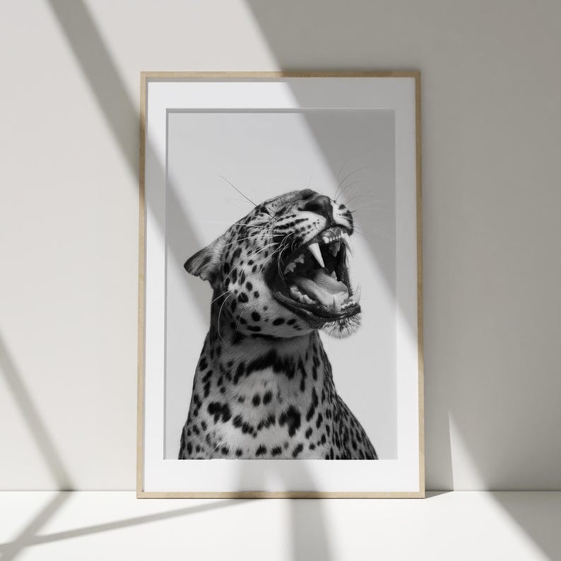 May include: A black and white photograph of a leopard with its mouth open, showing its teeth. The leopard is looking to the right of the frame.