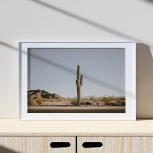 Kaktus in der Wüste, Fotografie Druck, Lifestyle Druck, Fotodruck in Museumsqualität