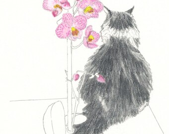 original drawing of maine coon & orchid