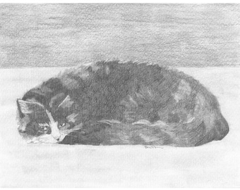 Calico Cat Drawing Giclee Print