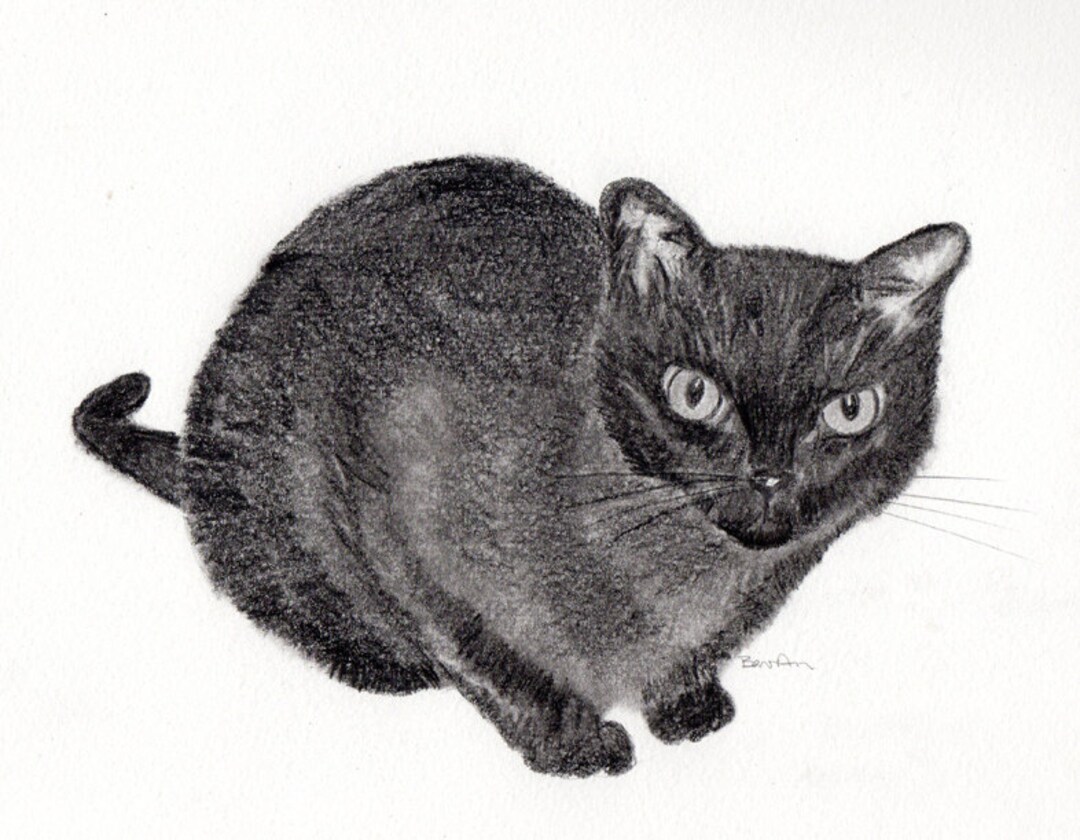Original Watercolor of Burmese Cat - Main Image
