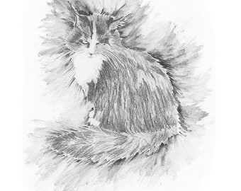 Calico Cat Drawing Giclee Print
