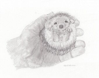 print drawing baby hedgehog 2