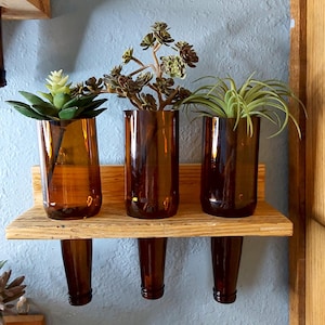 Puede incluir: Un jardinera de pared con tres jarrones de botellas de vidrio marrón, cada uno con una planta suculenta diferente. Las botellas están montadas en un estante de madera rústica, creando una pieza de decoración única y ecológica.