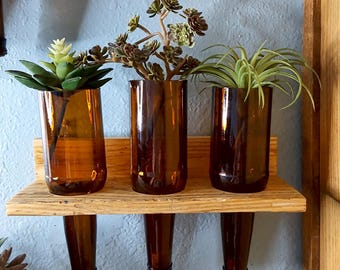 Upcycled Beer Bottle Hanging Planter: Pallet Wood Stand, Indoor Propagation