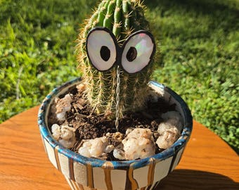Stained glass plant eyes, silly and cute plant stakes for any potted plant. Whimsical Potted Plant Decor