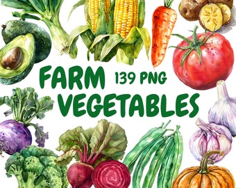 Watercolor Farm Vegetables Clipart Bundle, Farmers Market Clipart, Carrot Illustrations, Transparent PNG Graphics, Commercial Use