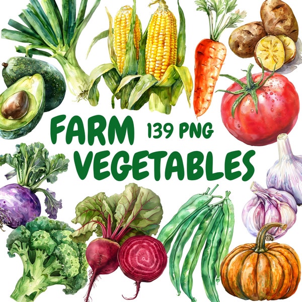 Watercolor Farm Vegetables Clipart Bundle, Farmers Market Clipart, Carrot Illustrations, Transparent PNG Graphics, Commercial Use