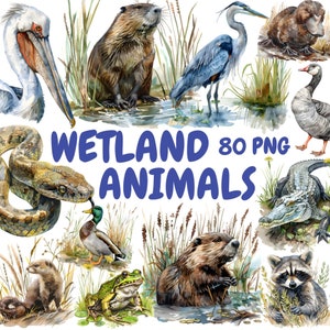 Bundle de cliparts aquarelle animaux des zones humides, clipart faune des marais, Illustrations de la forêt, graphiques PNG transparents, usage Commercial