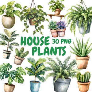 May include: Watercolor illustration of various house plants, including hanging plants, succulents, and cacti, in pots. The image includes the text "HOUSE PLANTS 30 PNG" in green letters.