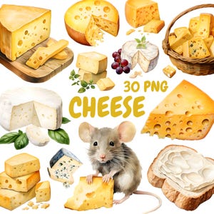 May include: An assortment of cheeses, including cheddar, brie, and blue cheese, are arranged in a watercolor illustration. A mouse is holding a piece of cheese. The word "CHEESE" is written in yellow, along with the text "30 PNG".
