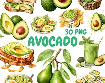 Watercolor Avocado Clipart Bundle, Healthy Food Clipart, Fruit Illustrations, Transparent PNG Graphics, Commercial Use