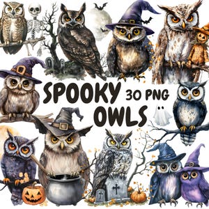 Lot de cliparts aquarelle chouettes fantasmagoriques, cliparts chouette Halloween, graphiques chouette magique, téléchargement numérique instantané pour un usage commercial