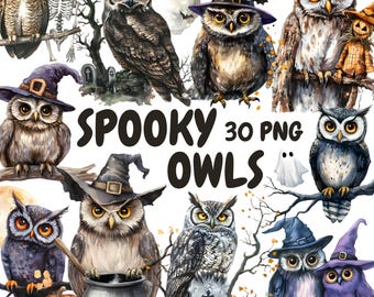 Watercolor Spooky Owls Clipart Bundle, Halloween Owl Clipart, Magic Owl Graphics, Instant Digital Download For Commercial Use