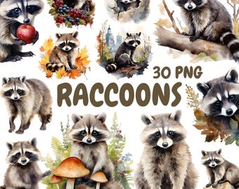 Paquete de imágenes prediseñadas de mapaches en acuarela, imágenes prediseñadas de animales del bosque, ilustraciones de mapaches, gráficos PNG transparentes, uso comercial