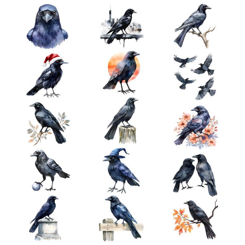 May include: Watercolour illustration of 14 black crows in various poses. Some crows are perched on branches, while others are flying. The crows are painted in shades of black and grey, with some details in white.