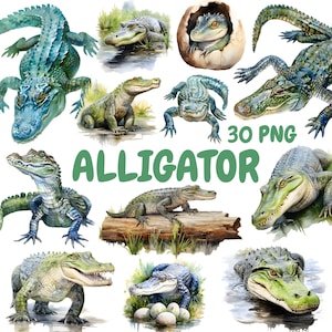 Watercolor Alligator Clipart Bundle, Reptile Crocodile Clipart, Alligator Illustrations, Transparent PNG Graphics, Commercial Use