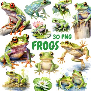 Pacote de clipart de sapos em aquarela, clipart de sapo verde, ilustrações de sapo, gráficos PNG transparentes, uso comercial