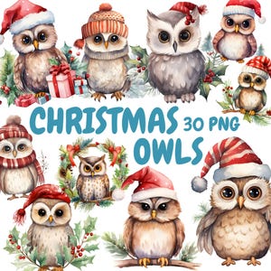 Pacote de clipart de corujas de Natal em aquarela, clipart de coruja fofa, gráficos de coruja de inverno, download digital instantâneo para uso comercial