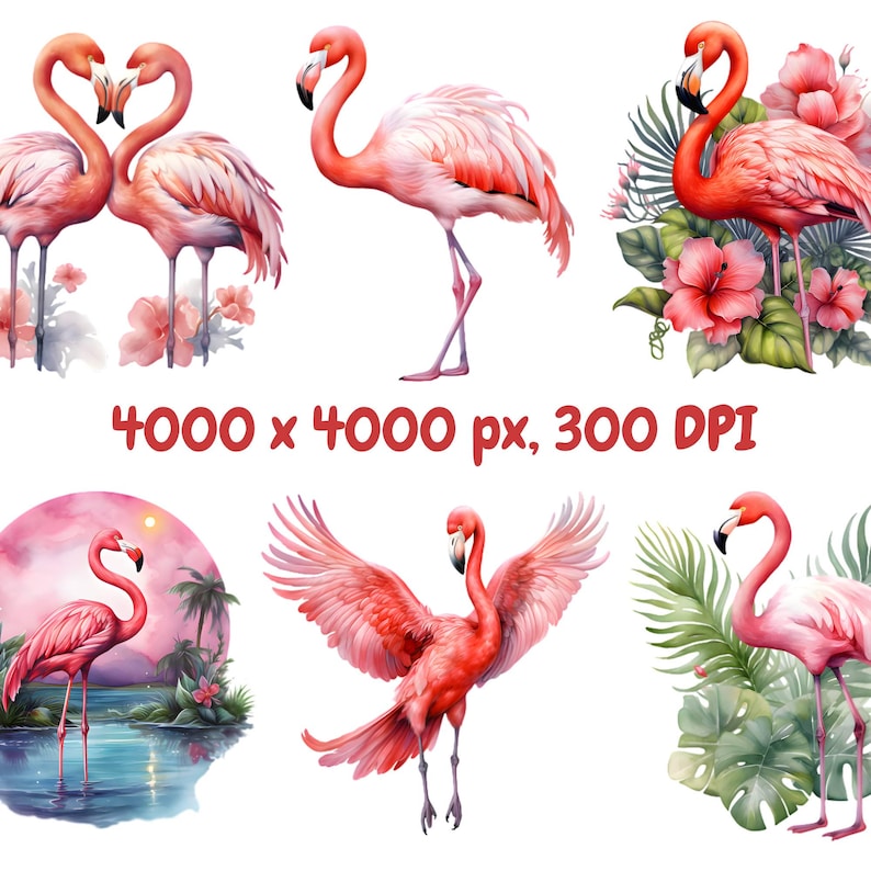 K&ouml;nnte beinhalten: Aquarellillustrationen von rosa Flamingos in verschiedenen Posen. Einige Bilder zeigen Flamingos mit Blumen und tropischem Laub. Der Text "4000 x 4000 px, 300 DPI" wird in Rot angezeigt.