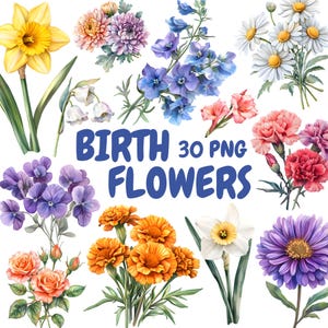 Bundle de cliparts aquarelle fleurs de naissance, cliparts mois de naissance, Illustrations de fleurs, graphiques PNG transparents, usage Commercial