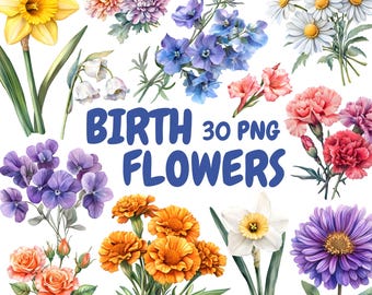 Aquarel geboortebloemen clipartbundel, geboortemaand clipart, bloemillustraties, transparante png-afbeeldingen, commercieel gebruik