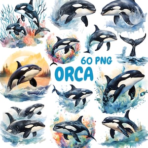 Watercolor Orca Clipart Bundle, Killer Whale Clipart, Orca Illustrations, Transparent PNG Graphics, Commercial Use