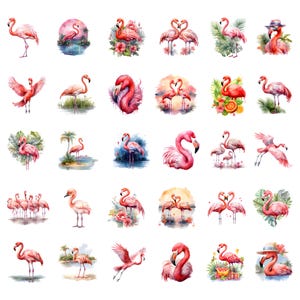 K&ouml;nnte beinhalten: Eine Sammlung von Aquarell-Illustrationen von Flamingos in verschiedenen Posen und Umgebungen. Die Bilder zeigen rosa Flamingos mit Details wie tropischen Blumen, Wasser und Sonnenunterg&auml;ngen. Einige Flamingos werden paarweise oder in Gruppen gezeigt.