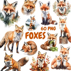 Bundle de cliparts renards aquarelle, clipart animaux des bois, Illustrations de renard, graphiques PNG transparents, usage Commercial